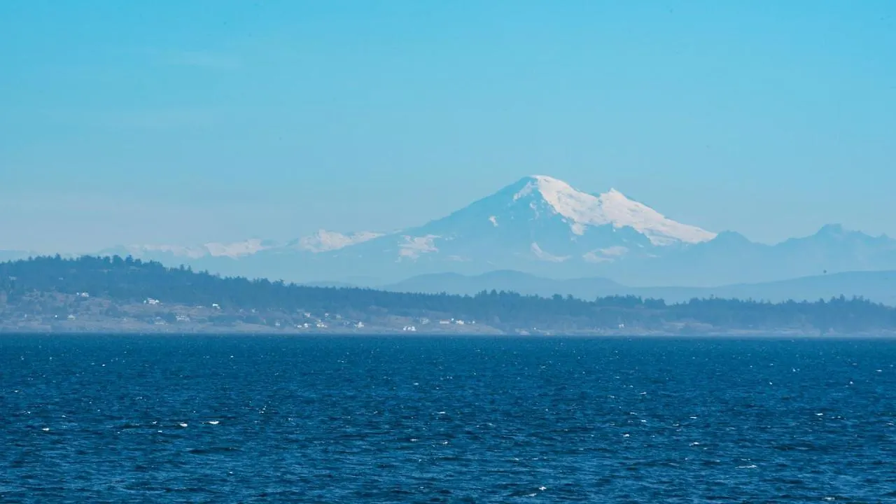 Orca View Suite 10 Mile Point Victoria